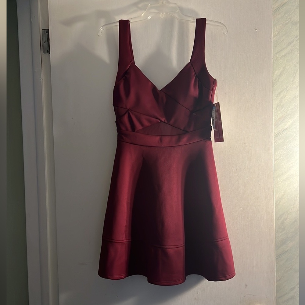 Emerald Sundae Mesh cut-out dress, garnet. NWT